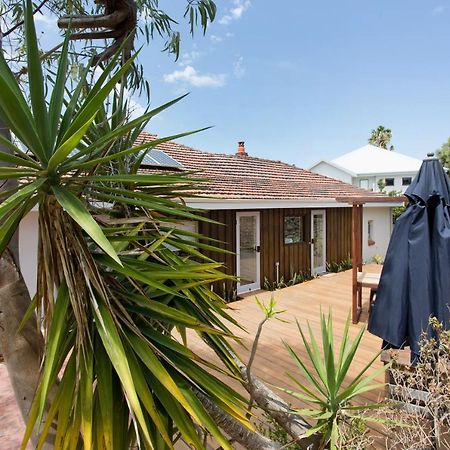 Dingo At White Gum Lodge Fremantle Exteriér fotografie